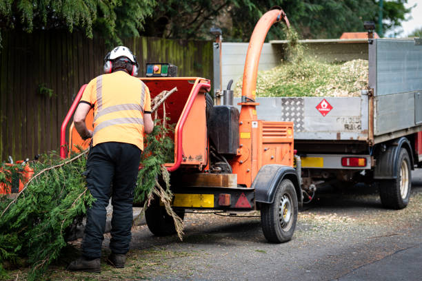 Best Utility Line Clearance  in Yelm, WA