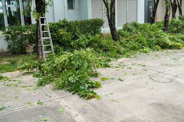Best Mulching Services  in Yelm, WA